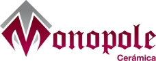 Monopole