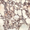Керамогранит Versace Harmony Calacatta Viola Antique 3D 120x120