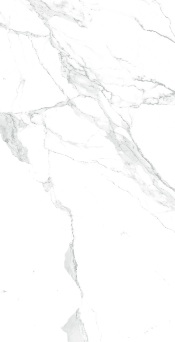 Керамогранит Arcadia Paradise Statuario 60x120