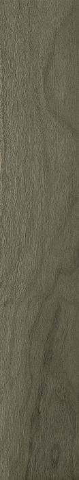 Керамогранит 610010004069 Coliseum Gres Бормио, Пэппер рет 20x120