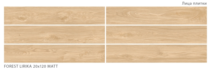 Керамогранит 7994 Starowood Forest Lirika Matt 20x120