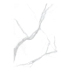 Керамогранит LAMFF00866 Laminam I Naturali Statuario Altissimo Lucidato 162x324x5+