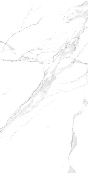 Керамогранит Arcadia Paradise Statuario 60x120