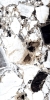 Керамогранит Arcadia Grande Crystal 60x120