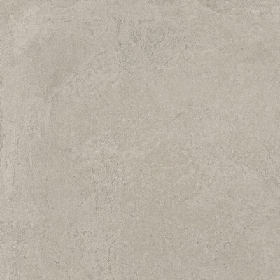 Керамогранит Atlas Concorde Russia Rinascente Fusion Cenere 60x60
