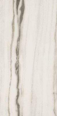 Керамогранит Rex Ceramiche Prexious White Fantasy Glossy 60x120