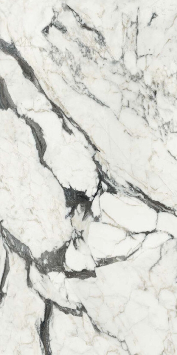 Керамогранит Rex Ceramiche Les Bijoux Calac Altissimo Glossy 6mm 120x240
