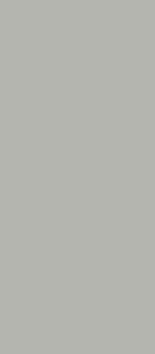 Бамбуковая панель Bonaparte Paint Light Grey 108x280
