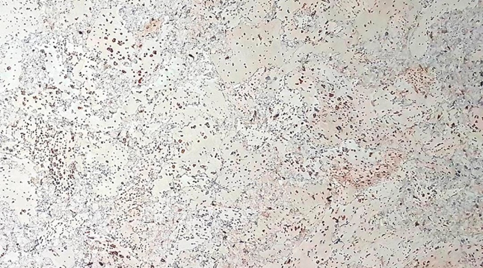 Замковый пробковый пол Corkstyle EcoCork Madeira Grey