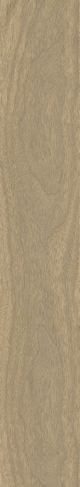 Керамогранит 610010004068 Coliseum Gres Бормио, Хани рет 20x120
