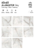Керамогранит ITC Alabaster Sky Carving 60x60