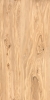 Керамогранит Casati Ceramica Matt Alpine Natural Wood 60x120