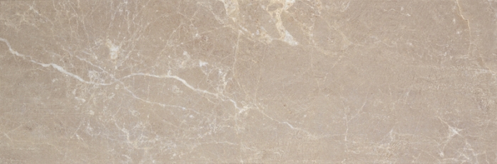 Настенная плитка Stn Ceramica Albury Camel 33,3x100