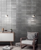 Настенная плитка Fabresa Arles Nickel 10х30