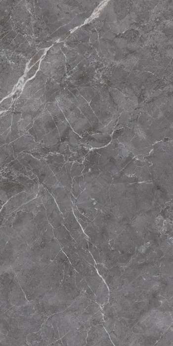 Керамогранит Arcadia Esperia Grigio Lappato 60x120