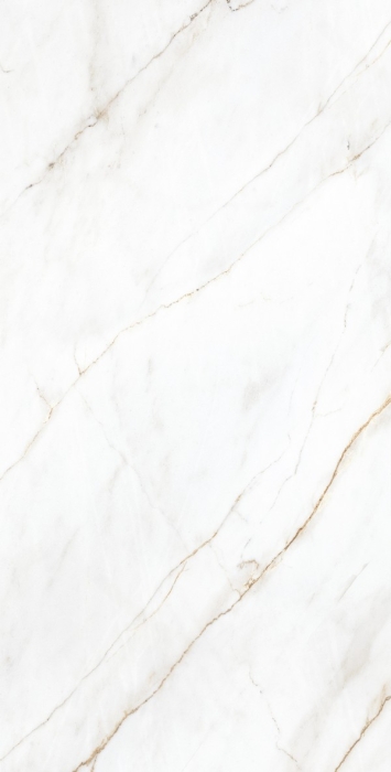 Керамогранит Arcadia Selva Gold 60x120
