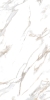 Керамогранит Arcadia Calacatta Gold 60x120