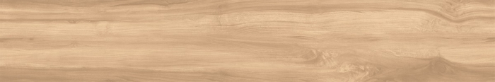Керамогранит Arcadia Fossil Wood Brich 20x120