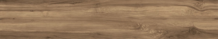 Керамогранит Arcadia Fossil Wood Wenge 20x120