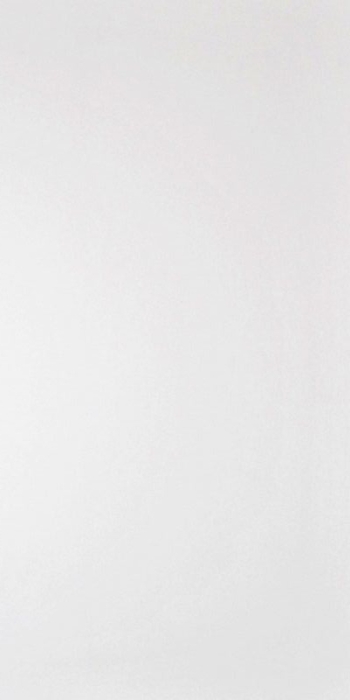 Керамогранит G-100/MR/120 Grasaro Domino White MR 60x120