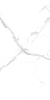 Керамогранит Casati Ceramica PGVT Statuario 60x120