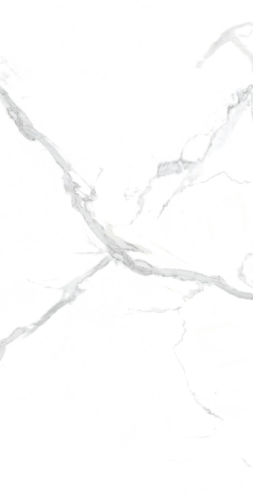 Керамогранит Casati Ceramica PGVT Statuario 60x120