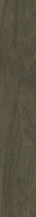 Керамогранит 610010004069 Coliseum Gres Бормио, Пэппер рет 20x120