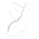 Керамогранит LAMF0M0257 Laminam I Naturali Statuario Altissimo Naturale Book Match FA 162x324x20+