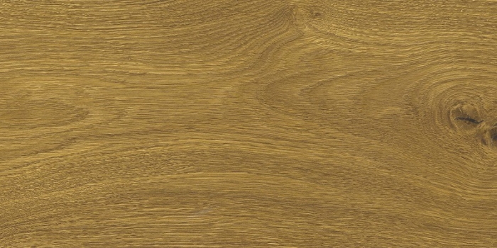 Клеевой пробковый пол Corkstyle Wood XL Oak Knotty