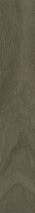 Керамогранит 610010004069 Coliseum Gres Бормио, Пэппер рет 20x120