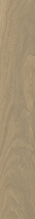 Керамогранит 610010004068 Coliseum Gres Бормио, Хани рет 20x120
