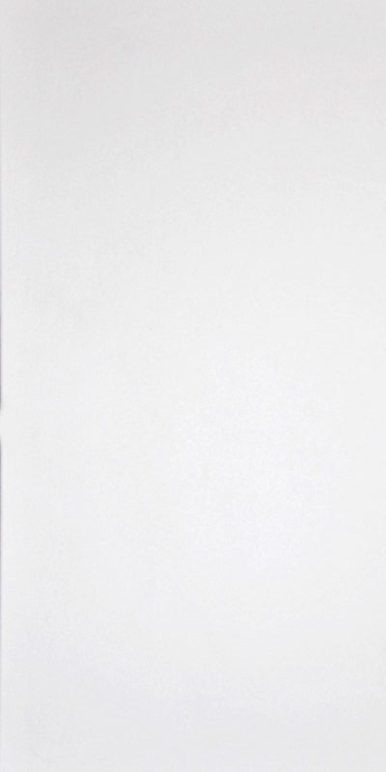 Керамогранит G-100/MR/120 Grasaro Domino White MR 60x120