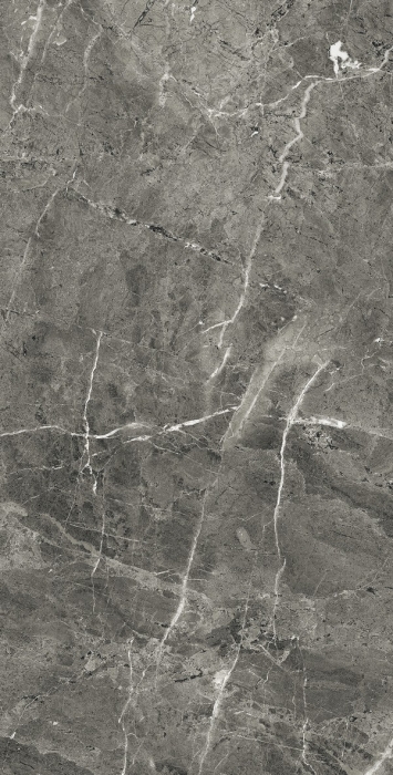 Керамогранит Arcadia Florencia Grey 60x120