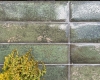 Керамогранит El Molino Dream Green 30x60