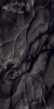 Керамогранит Arcadia Onyx Black 60x120