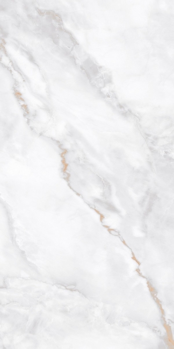 Керамогранит Neodom Marble Ornato Wave Polished 60x120