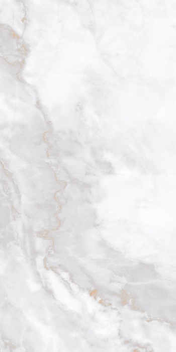 Керамогранит Neodom Marble Ornato Wave Polished 60x120