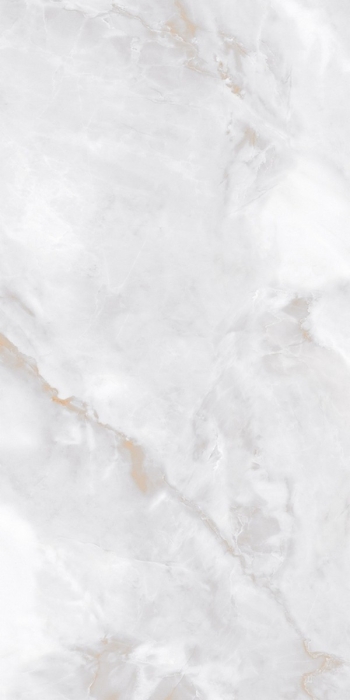 Керамогранит Neodom Marble Ornato Wave Polished 60x120