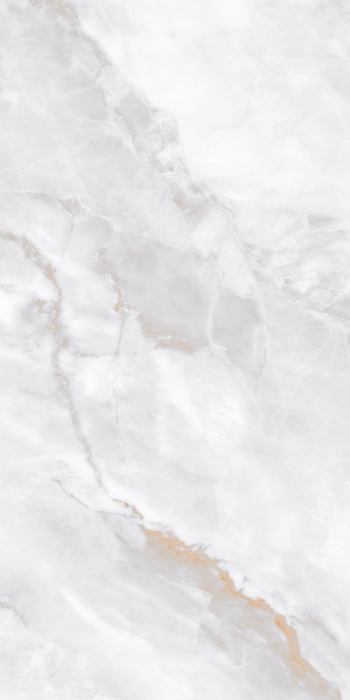 Керамогранит Neodom Marble Ornato Wave Polished 60x120