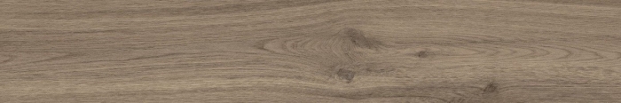 Керамогранит Ocean Ceramic Eternity Natural 20x120