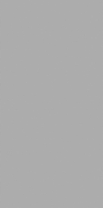 Керамогранит Ocean Ceramic India Slim Exotix Light Grey Matt 60x120