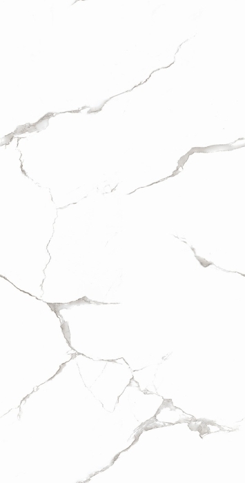 Керамогранит Casati Ceramica PGVT Silver White 60x120
