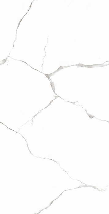 Керамогранит Casati Ceramica PGVT Silver White 60x120