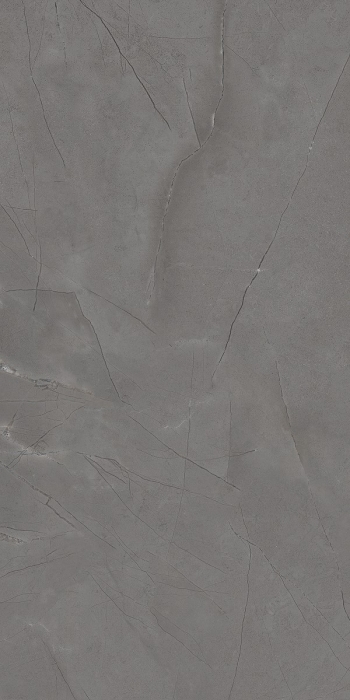 Керамогранит Artceramic Spenze Gris Rustic Carving 60x120