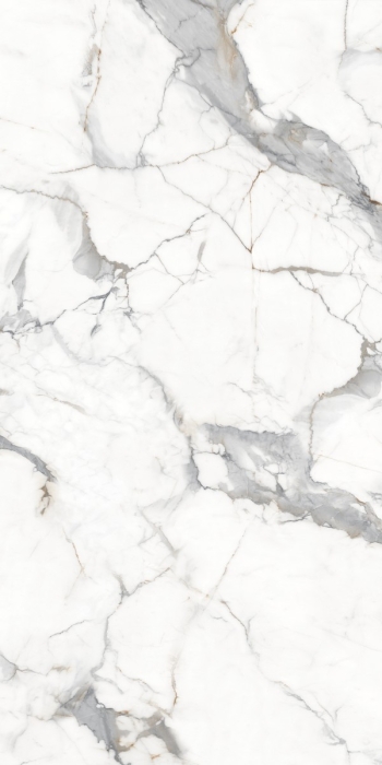 Керамогранит Casati Ceramica PGVT Statuario Raga 60x120