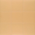 Керамогранит Mainzu PT03670 Technical Tangerine 20х20