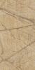 Керамогранит Infinity Ceramica Wattle Beige Drab 60x120